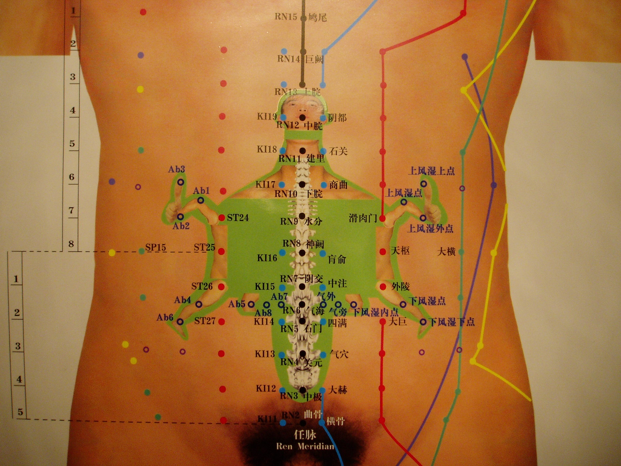 ACUPUNTURA ABDOMINAL | Luislucas Blog
