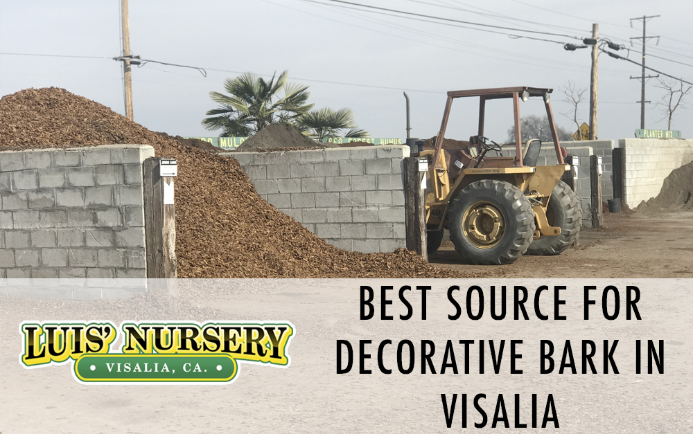 Best Place to get Decorative Bark Places that sell Bark Luis' Nursery