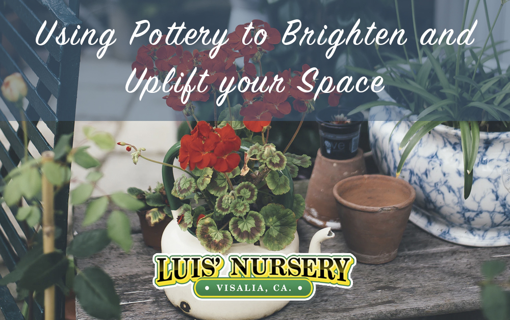 landscape design Archives Luis' Nursery Visalia, California