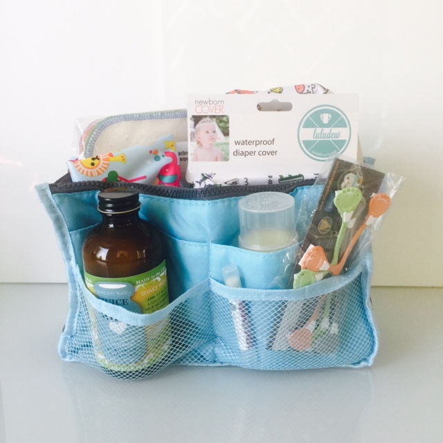 Cloth Diaper Starter Set Luludew