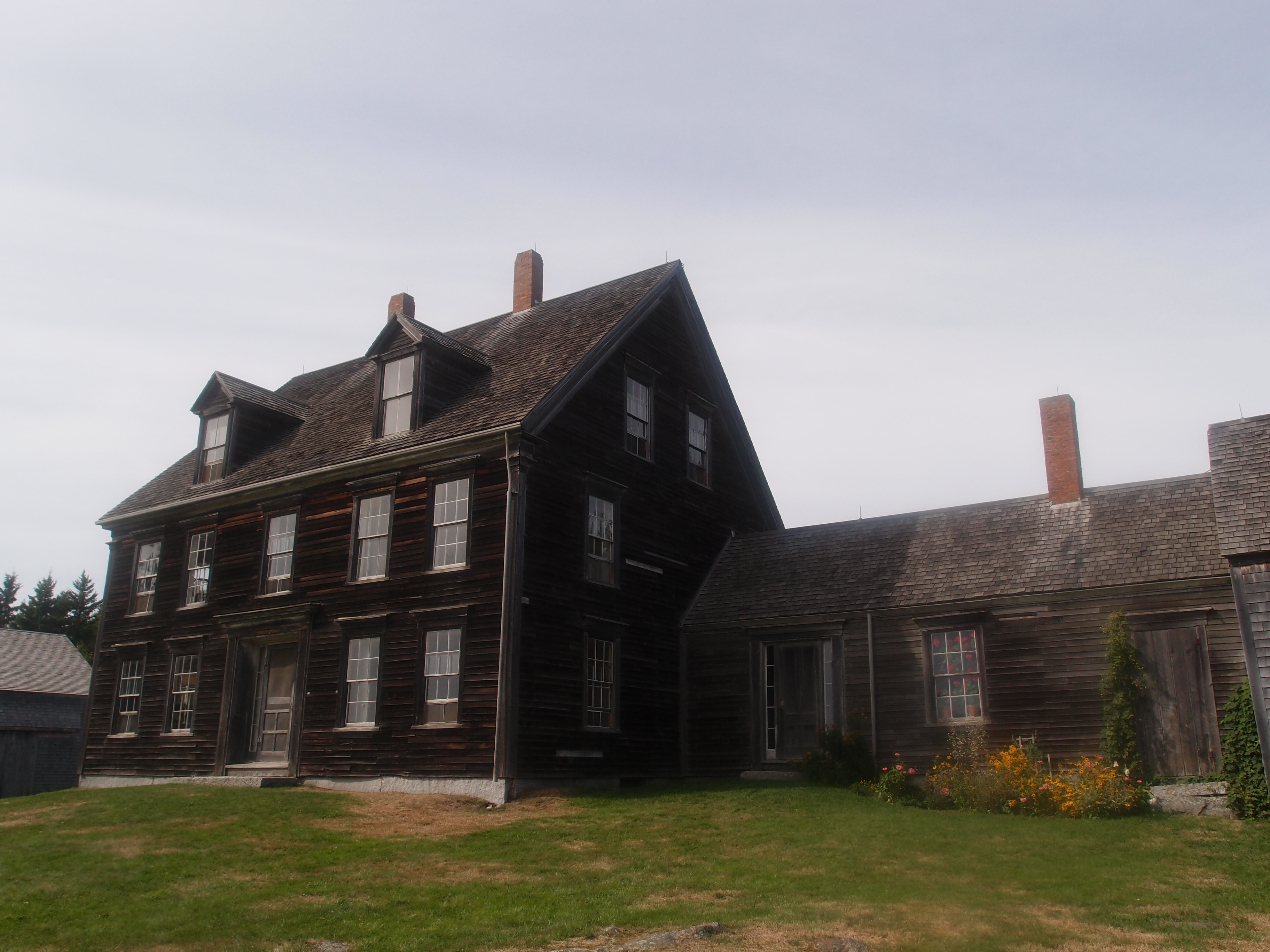 The Olson House Lulu's Musings