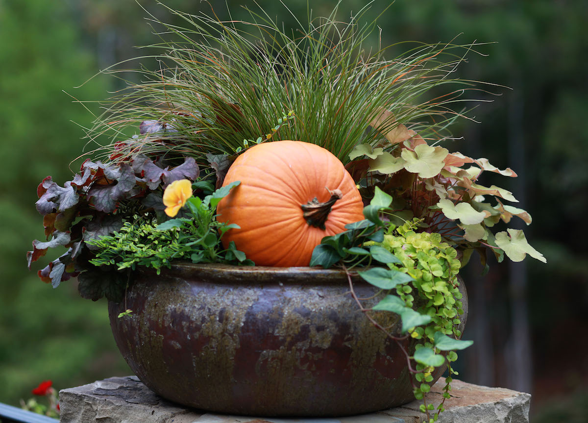 Dream House Update Fall Container Gardens Lulu the Baker