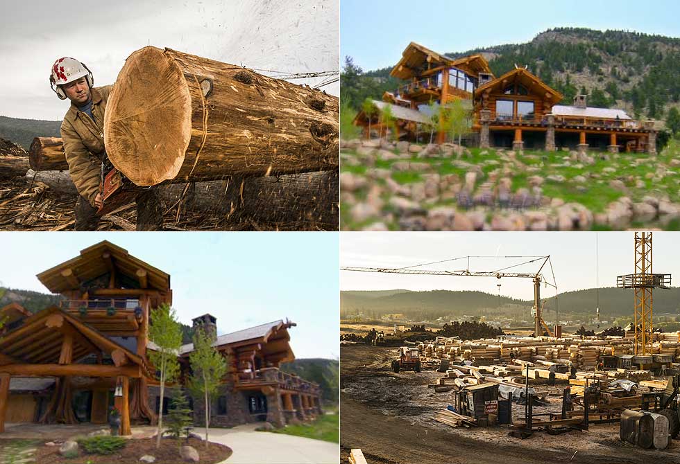 Timber Kings LumberJac