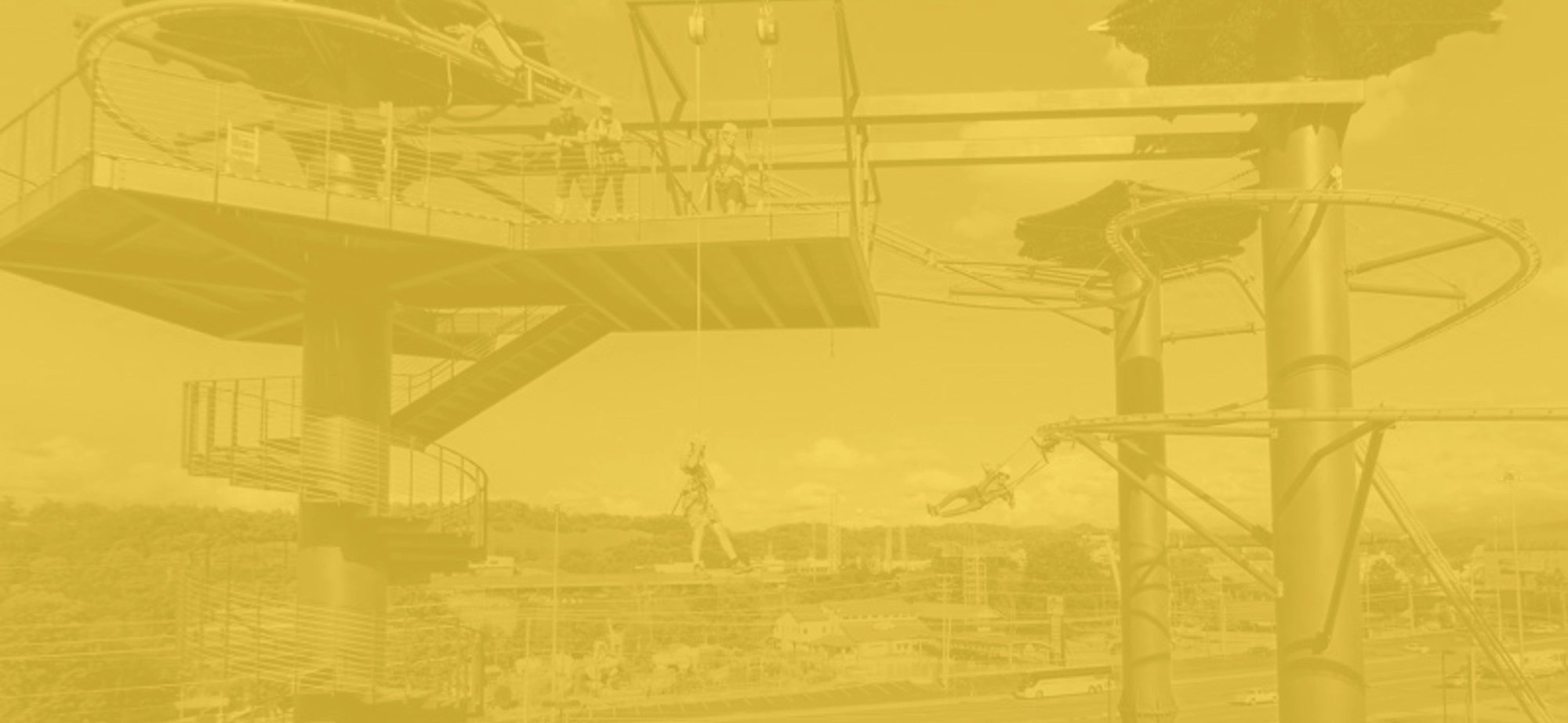 Pigeon Shows Paula Deen's Lumberjack Feud