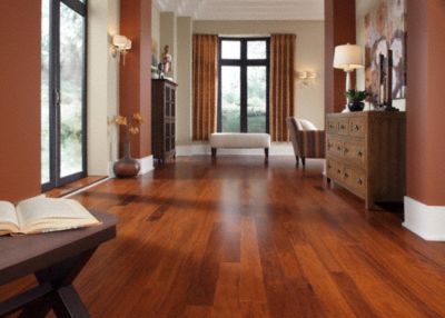 5/16" x 4" Warm Cognac Curupay Engineered Schön Lumber Liquidators