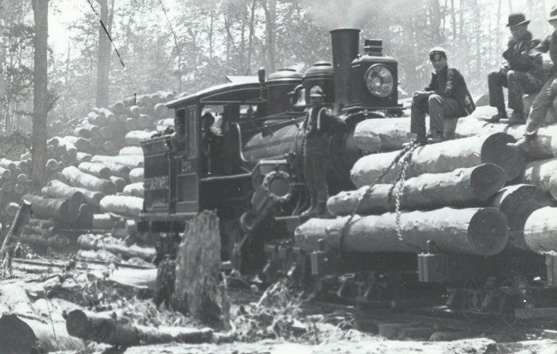 Historic Lumber Photos Pennsylvania Lumber Museum