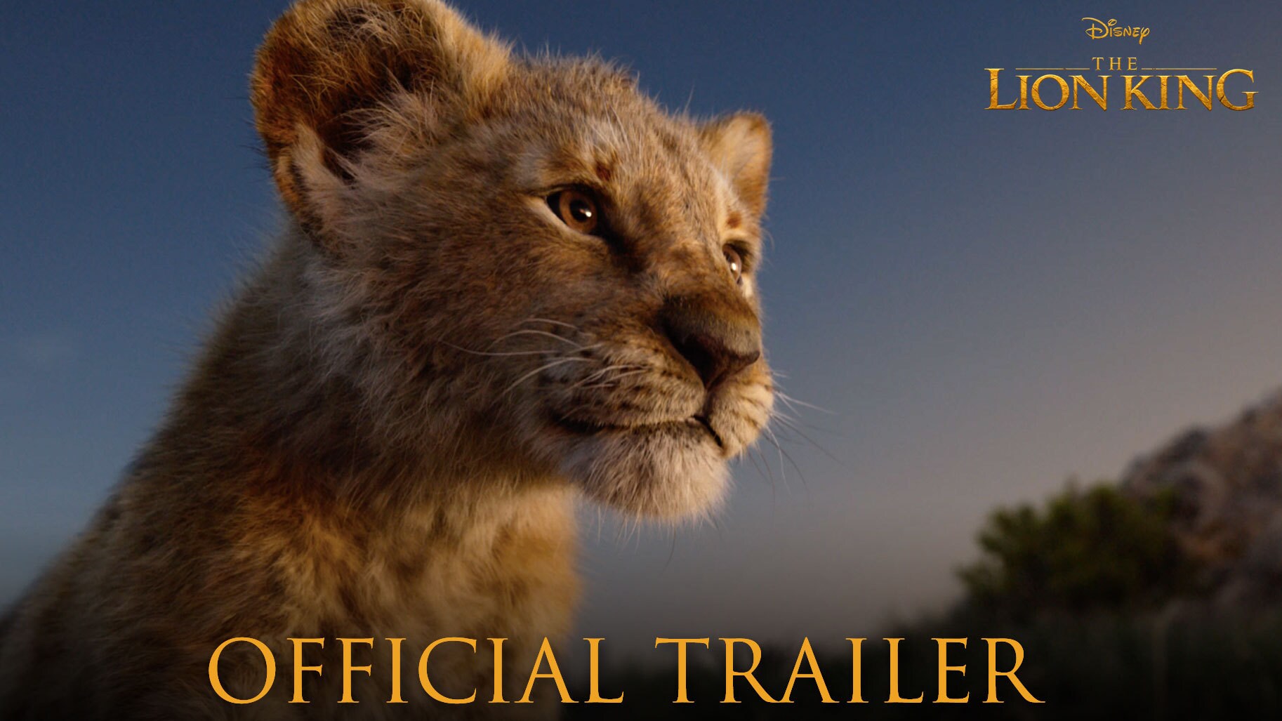 Warrior Cats Movie Trailer