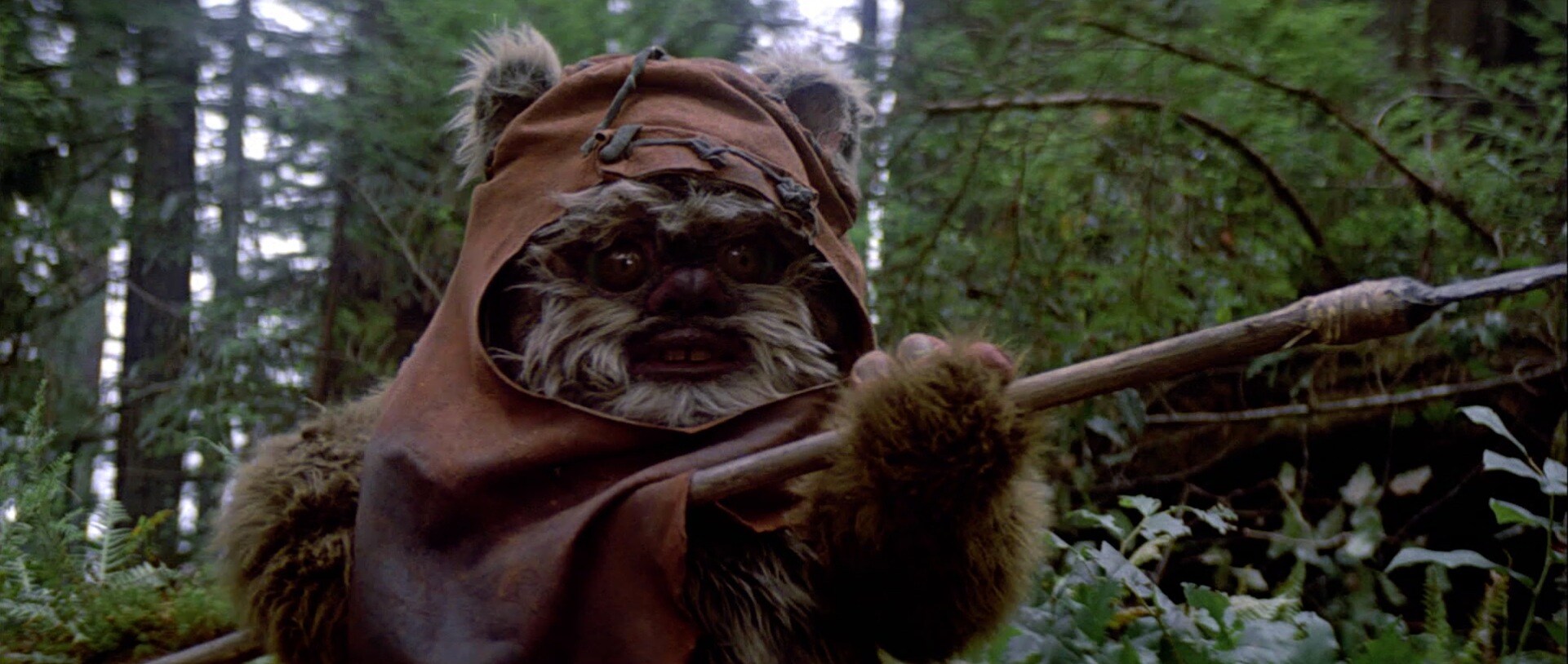 Leia Meets Wicket Star Wars Episode VI Return of the Jedi