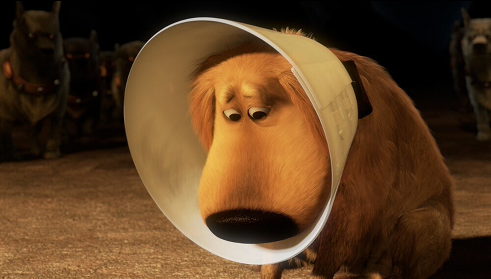 American Map Wearing The Cone Of Shame The 15 Most Important Pixar Quotes, According to You Disney Quotes