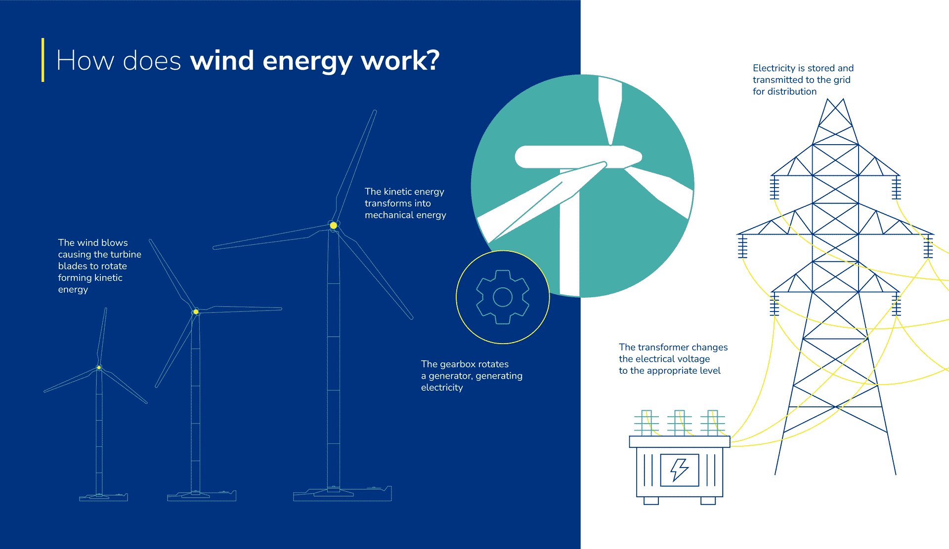 Installation of Wind Turbines Setting Up a Wind Farm (2024)