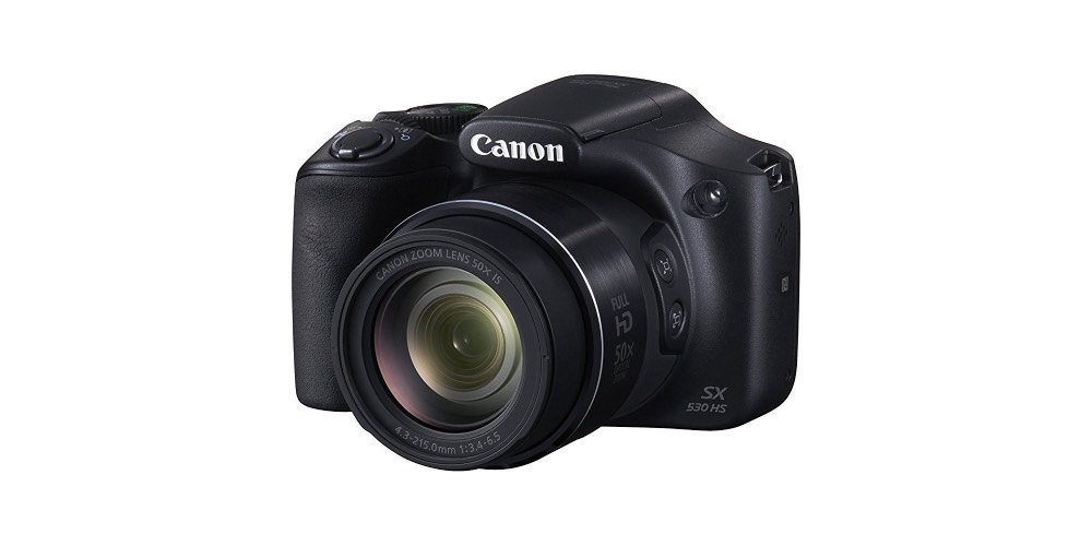 Best Digital Cameras Under 300 [Expert Reviewed Picks]