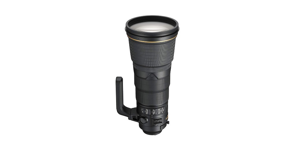 Best Nikon Lenses For Wildlife Photography