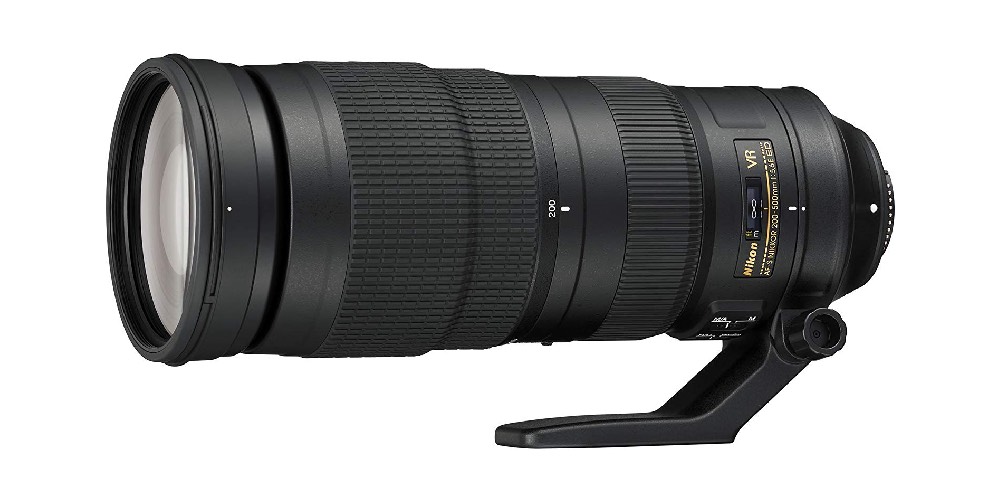 8 Best Budget Lenses For Wildlife Photography