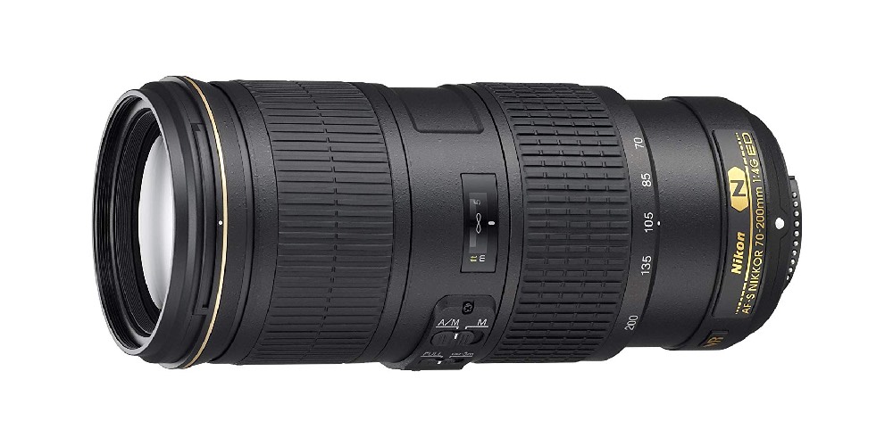 8 Best Budget Lenses For Wildlife Photography