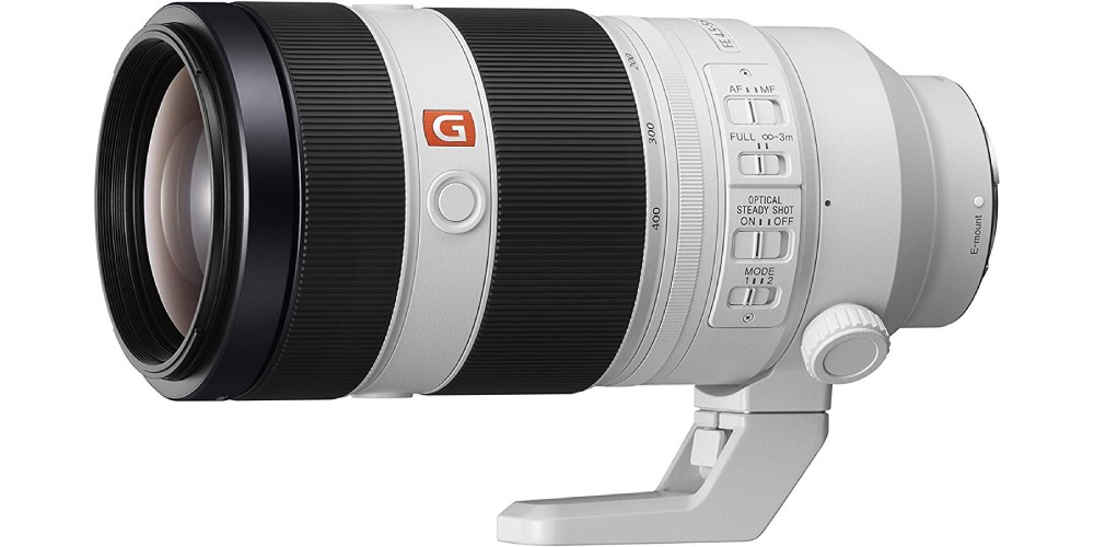 8 Best Sony Lenses For Wildlife Photography