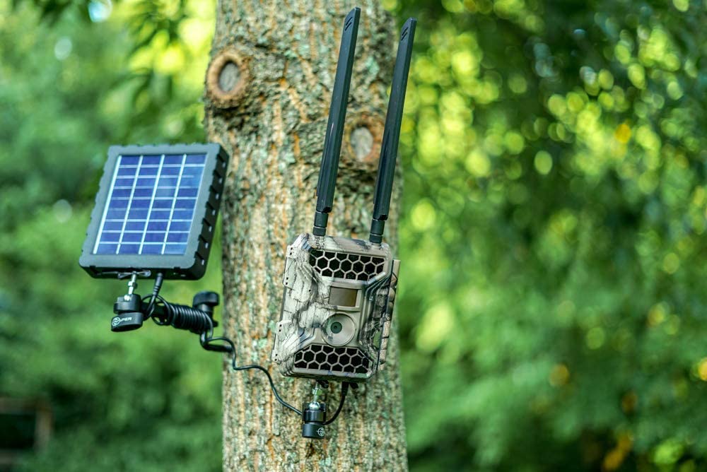 5 Best Cellular Trail Cameras