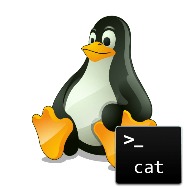 Примеры команды cat в Linux