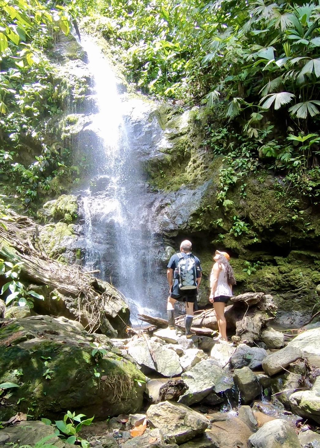 Luxurious Yoga Retreat LUNA LODGE Costa Rica