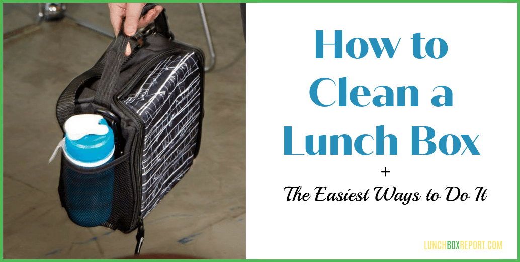 How to Clean a Lunch Box + The Easiest Ways to Do It Lunch Box Report