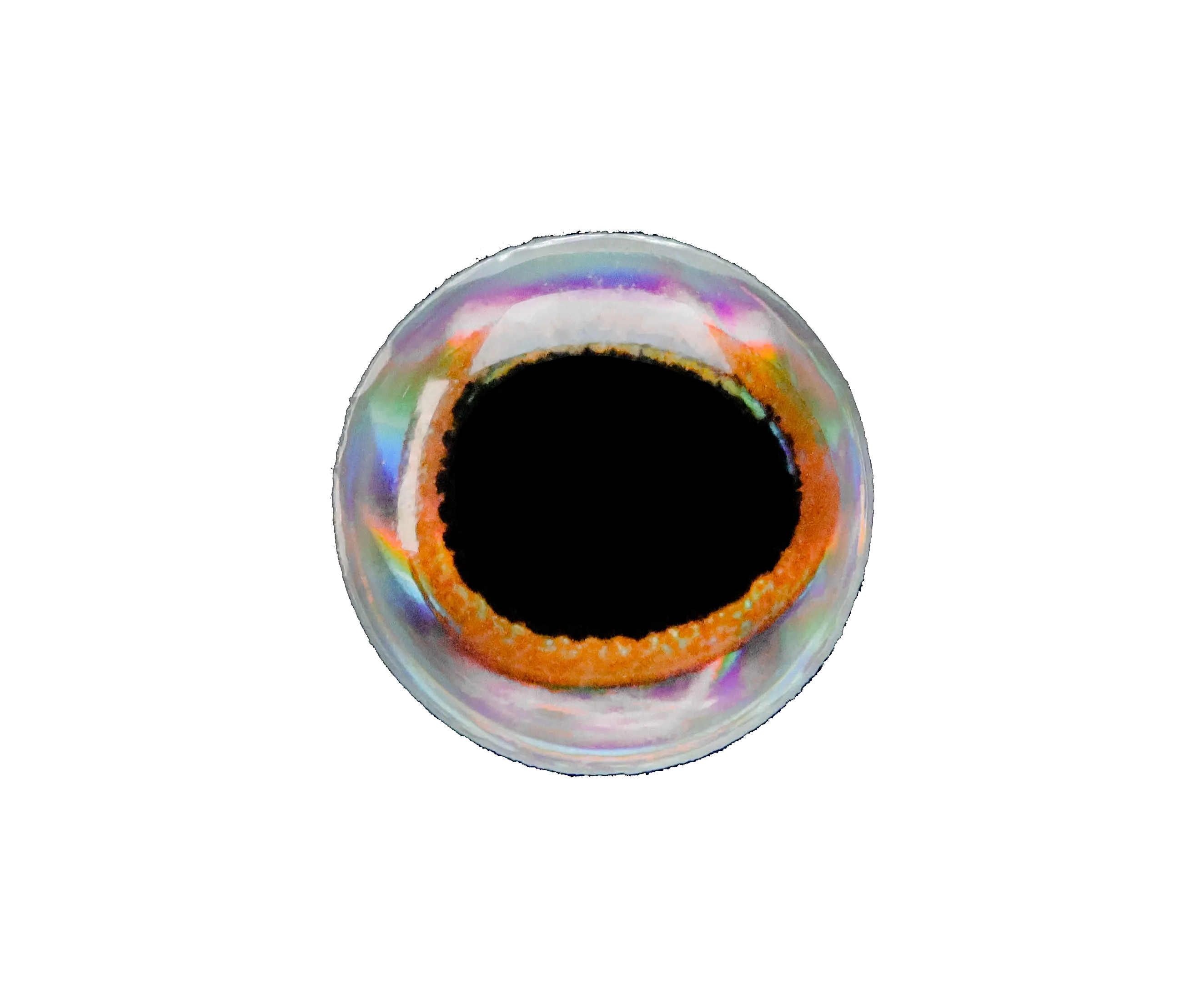 3D Fish Eyes Bulk Lunker City