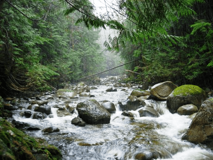 Wallace River Fishing Access Wallace River Fishing Map Fishing Info