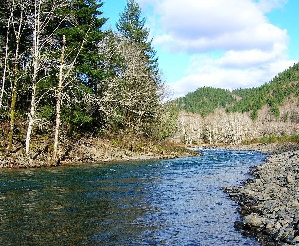 Wilson River Fishing Fishing Reports Fishing Maps