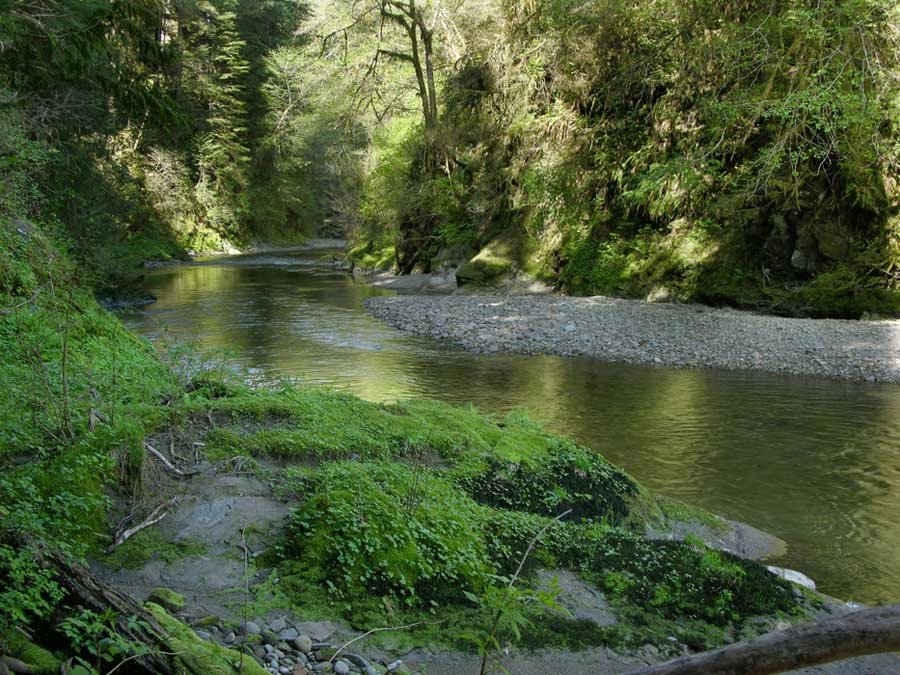 Salmon River Fishing Access Fishing Reports Information