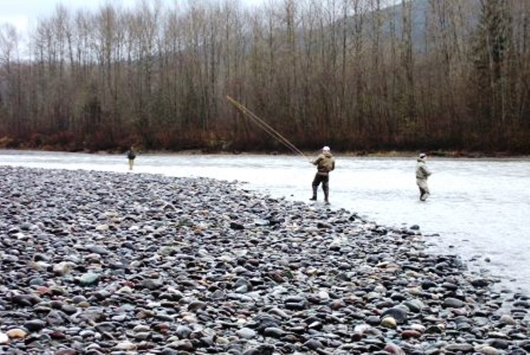 2018 Nooksack River Fishing Report Fishing Guides Lunker's Guide
