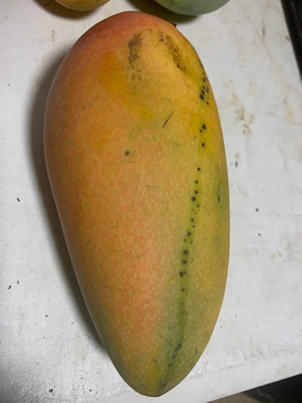 Golden Queen Mango Lunti Plant Nursery