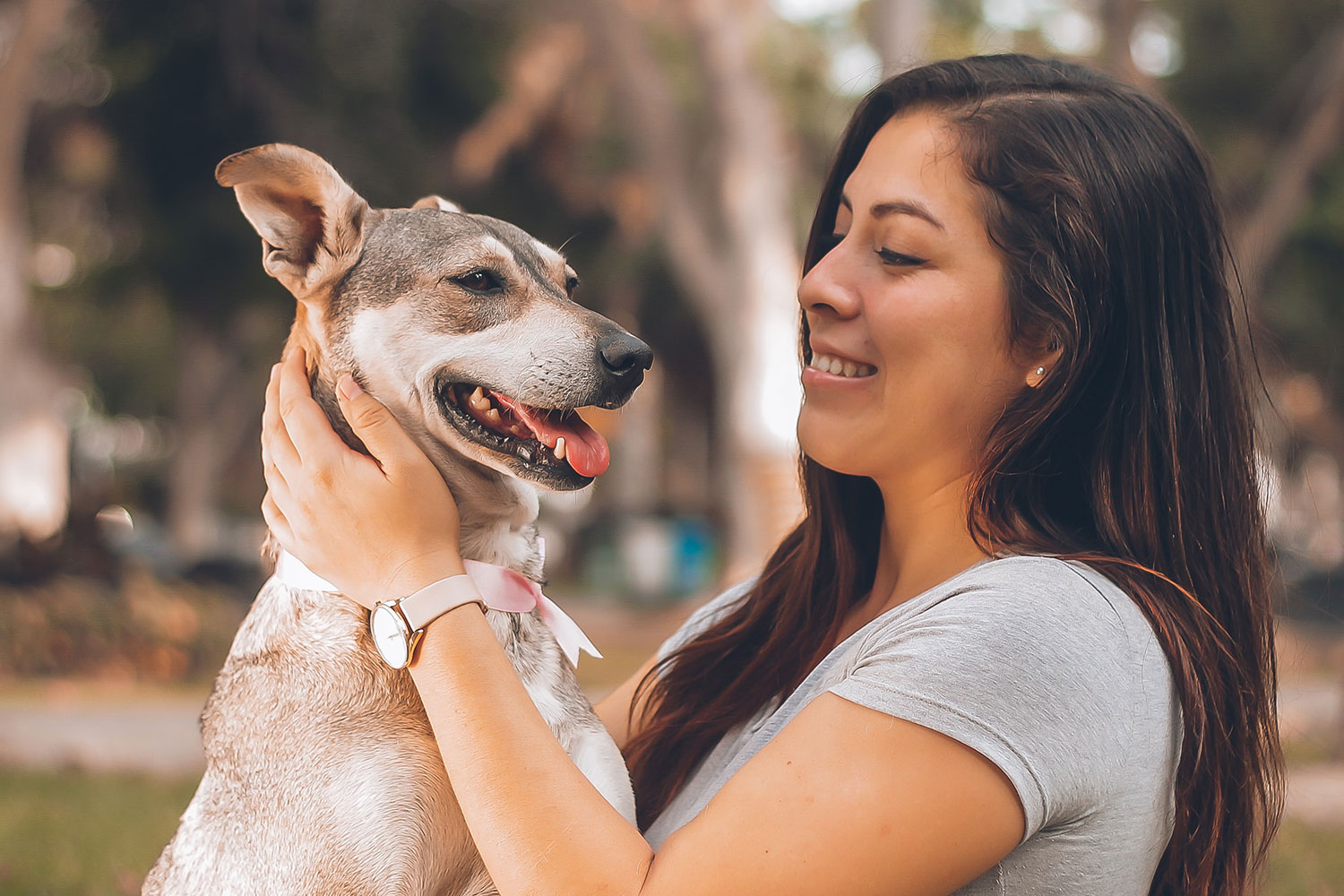 More Twin Cities apartments pets — for a price Lupe