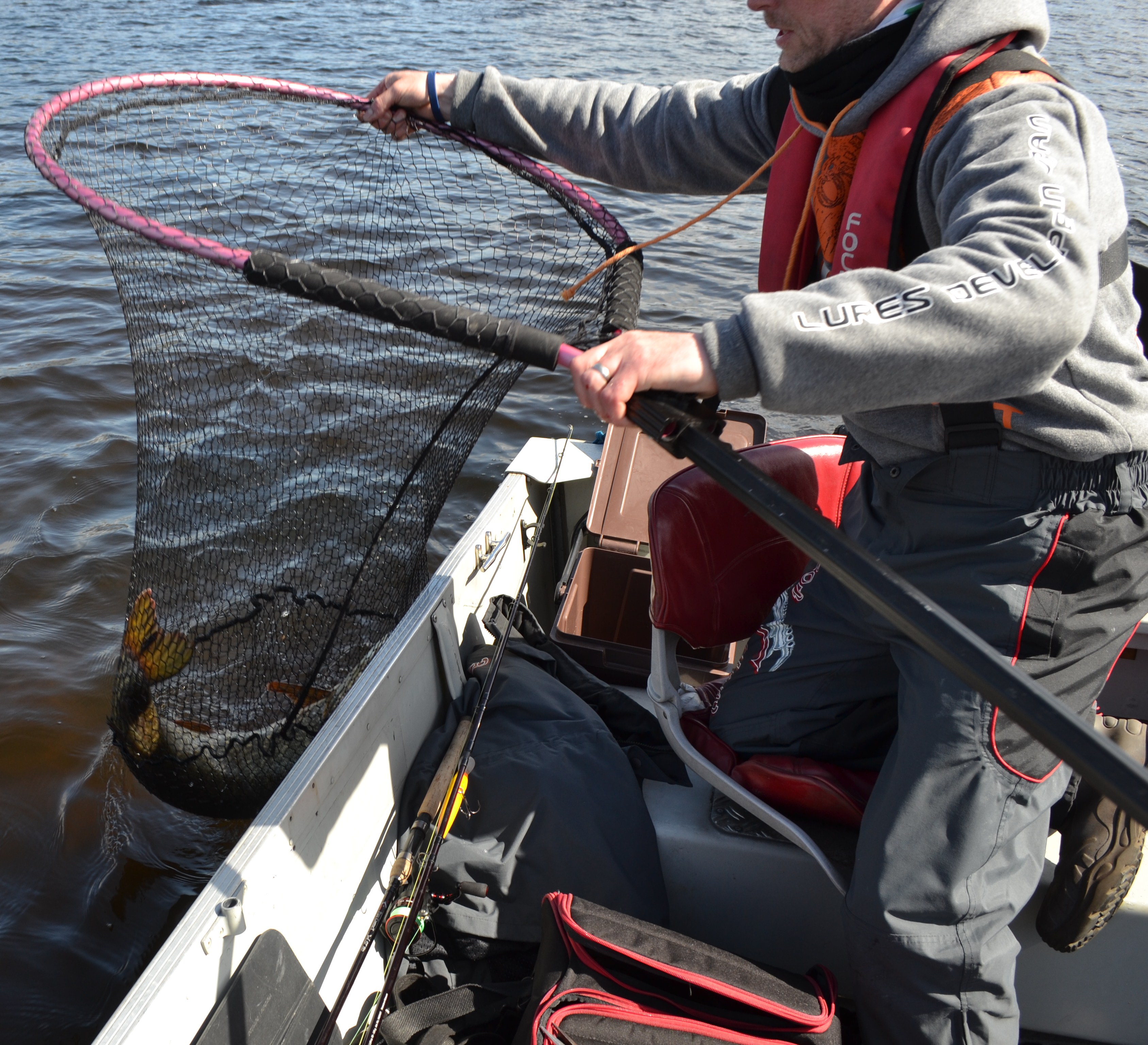 Netting fish Pike & Predator fishing