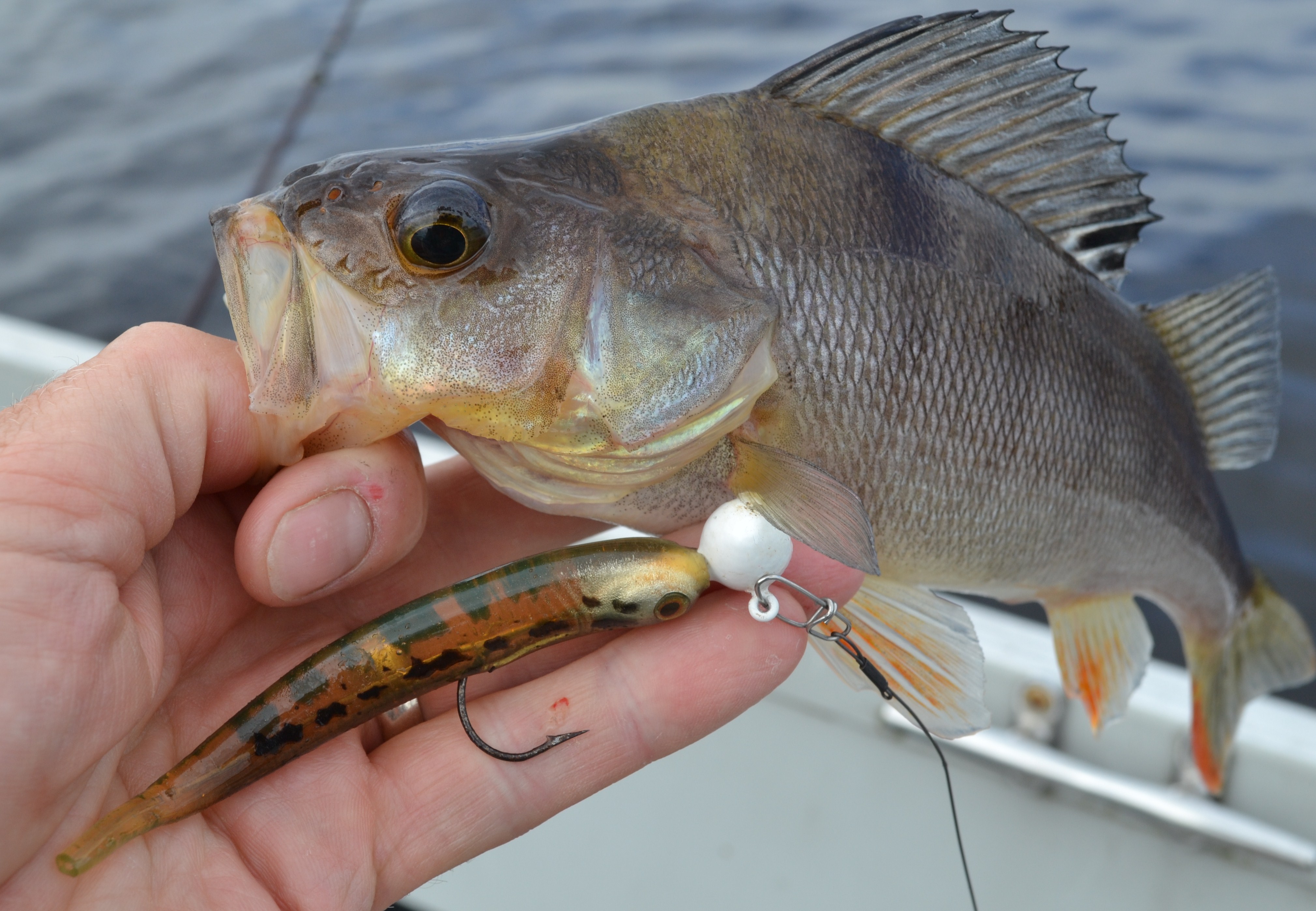 Sleeper blog Pike & Predator fishing