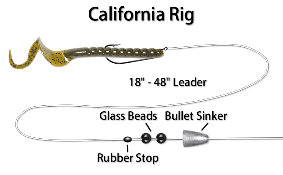 Your Guide to Using Plastic Worms for Bass Fishing Lure Me Fish