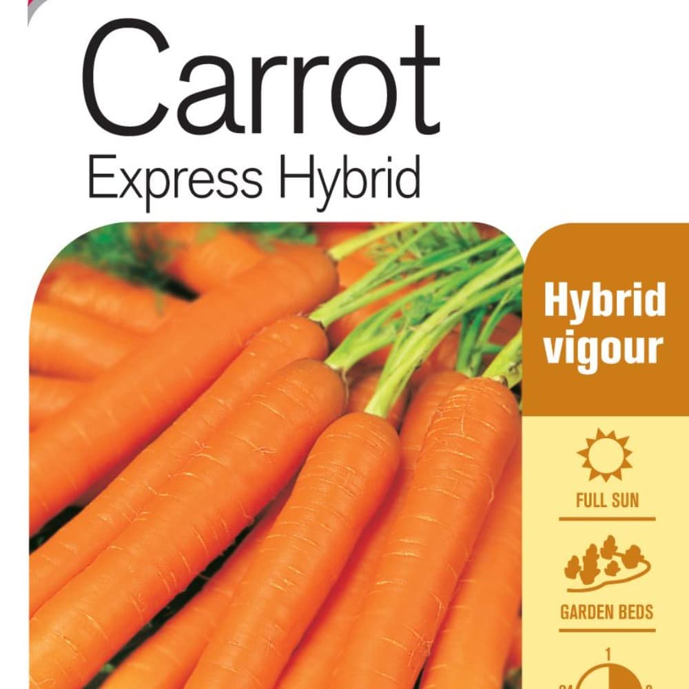 Seed Carrot 'Express Hybrid' Lushingtons