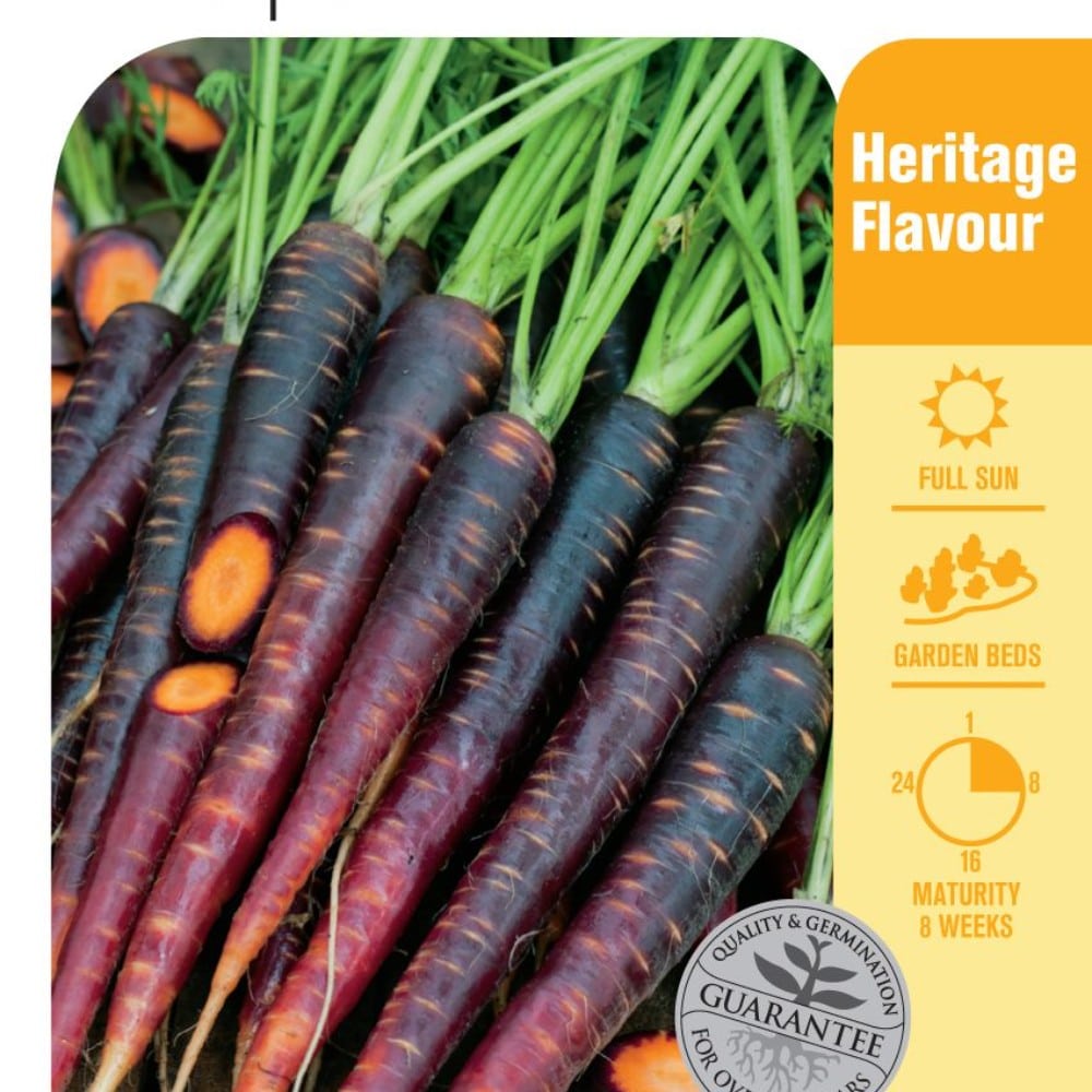 Seed Carrot 'Purple' Lushingtons