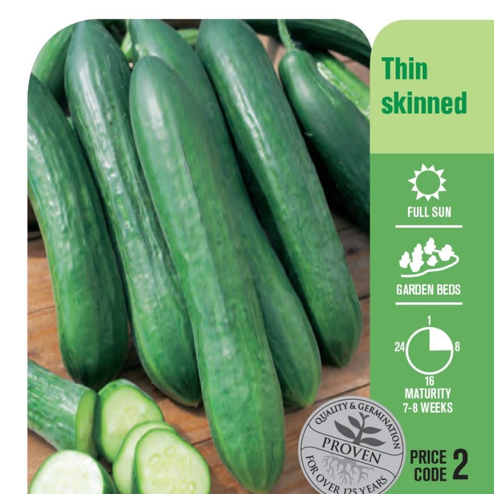 Seed Cucumber 'Burpless' Lushingtons