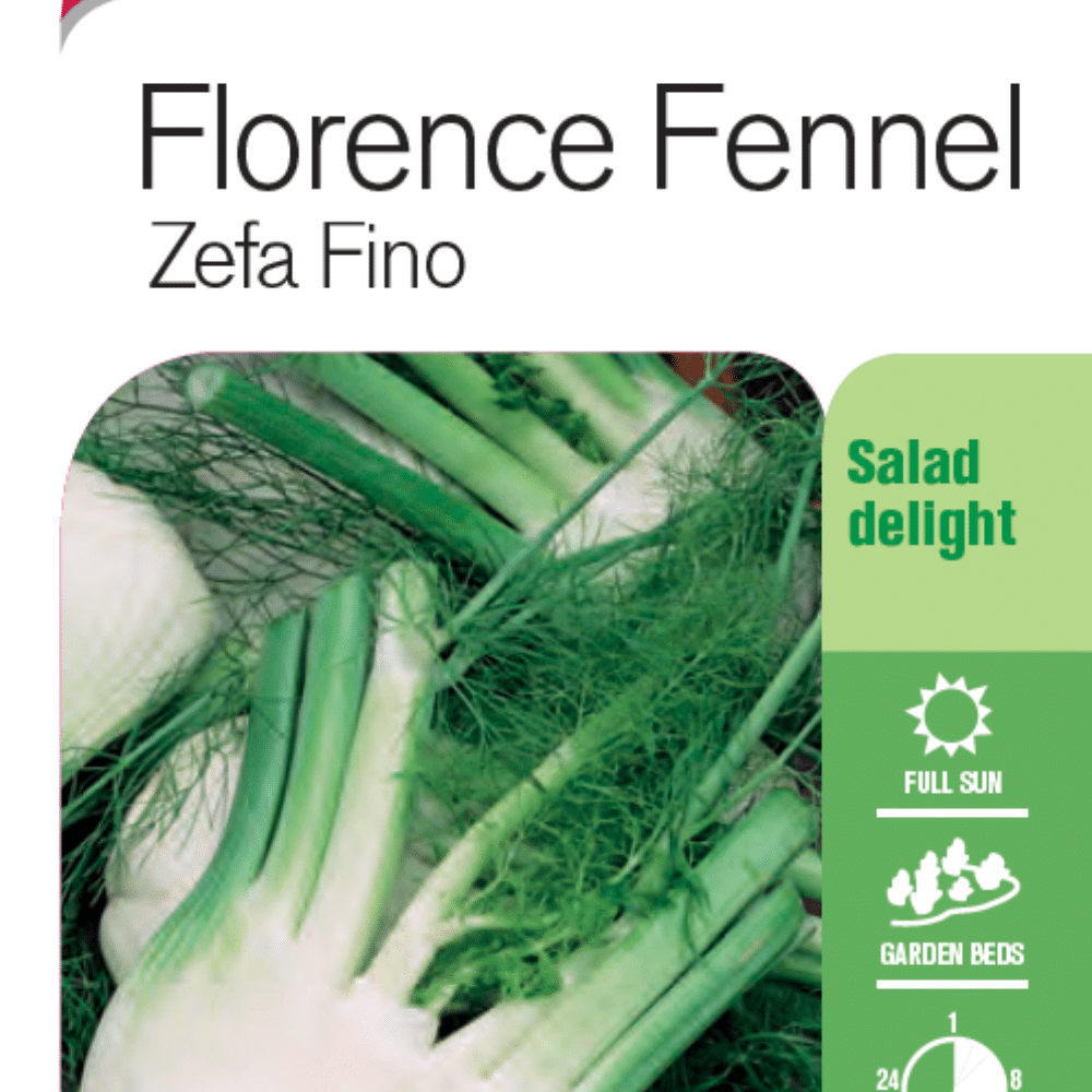 Seed Fennel 'Florence' Lushingtons