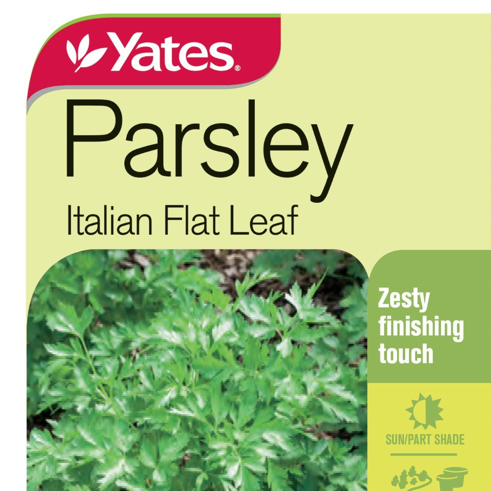 Seed Parsley 'Italian' Lushingtons