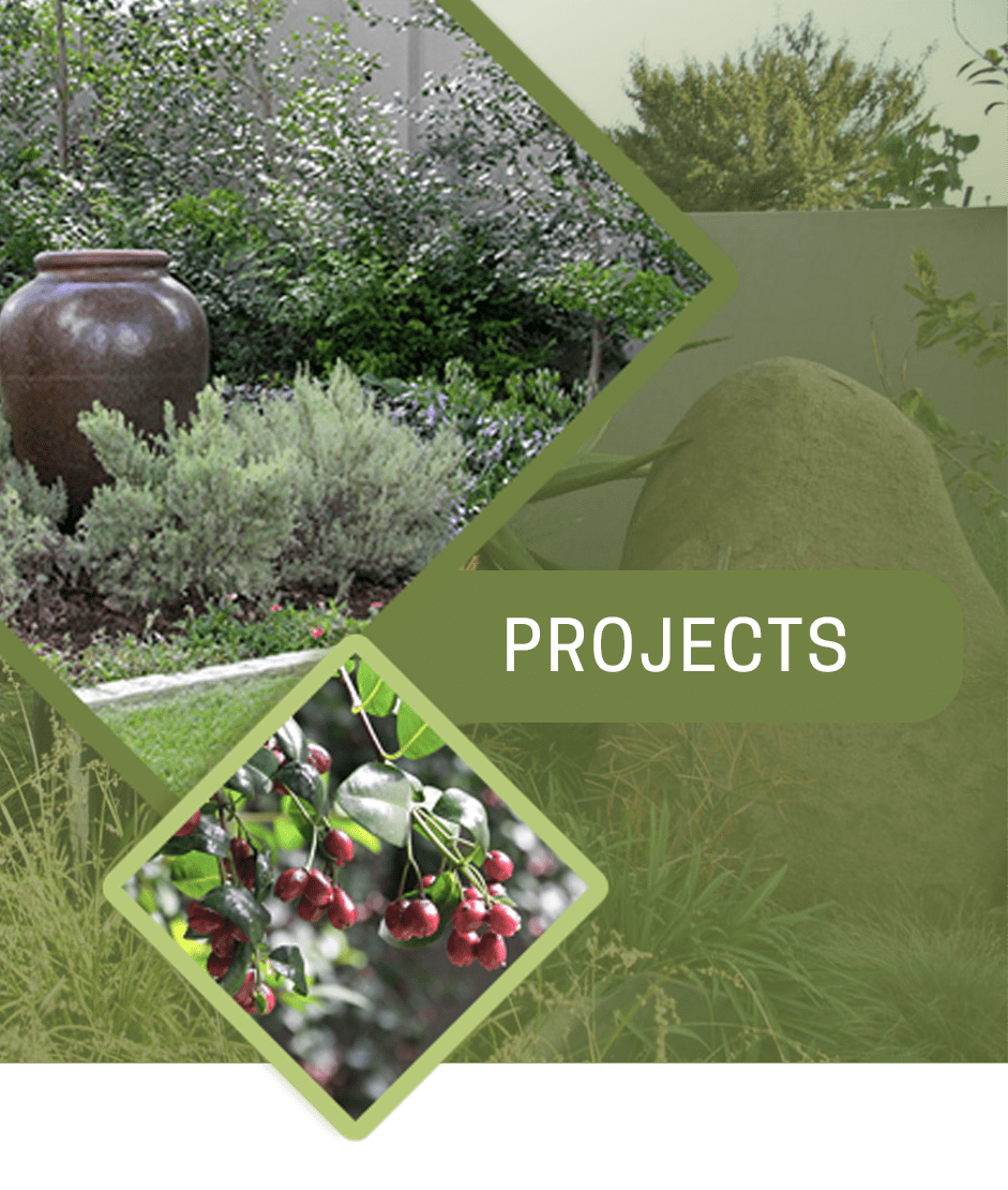 Garden Projects Landscaping Projects Lush Landscaping