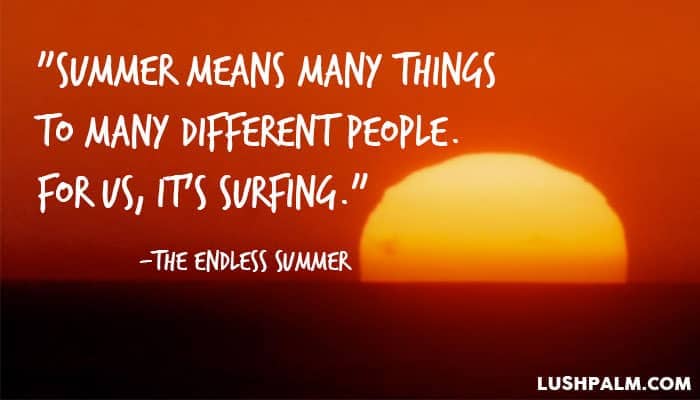 53 Epic Quotes From The Endless Summer Lush Palm