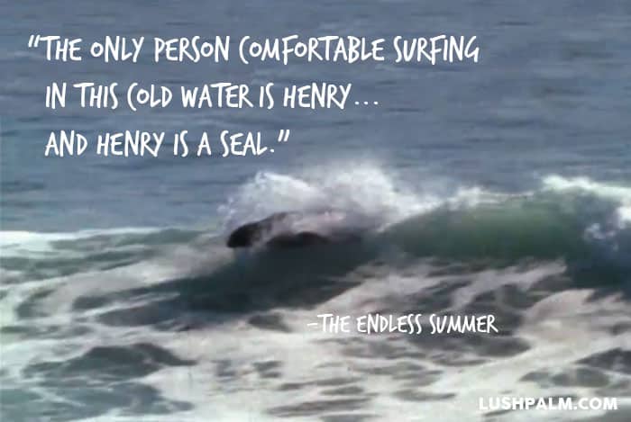53 Epic Quotes From The Endless Summer Lush Palm