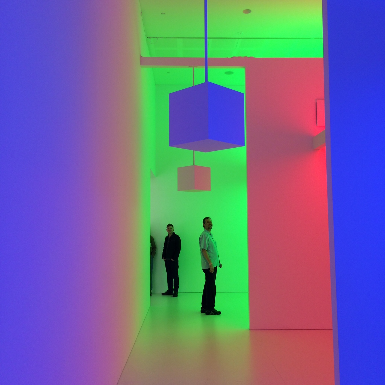 Light Show Exhibition at Auckland Art Gallery Lusive Lighting