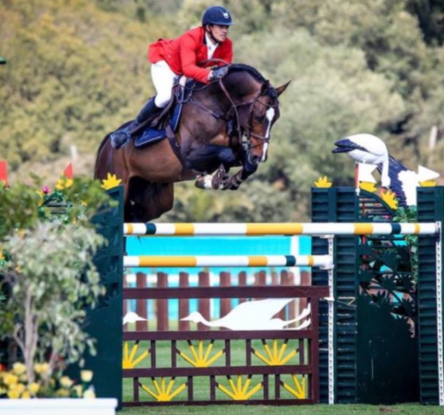 QUEL HOMME DE HUS (Quidam de Revel x Candillo) — Lutz Jumping Horses