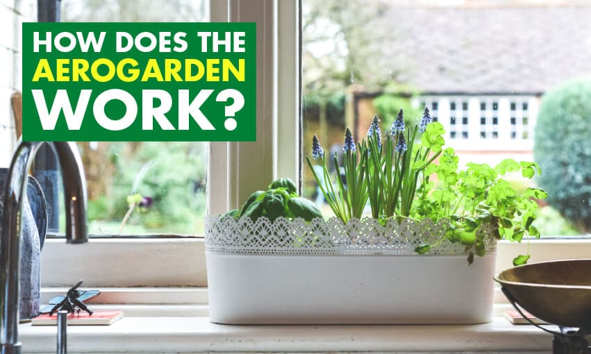 How Does the AeroGarden Work?
