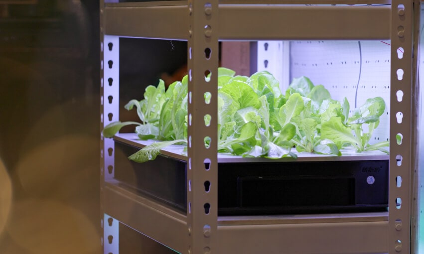 How Does the AeroGarden Work?