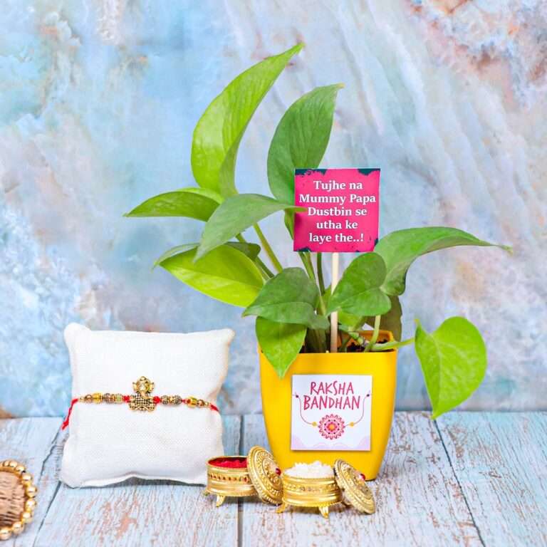 Online Cake and flower Delivery In India Luvflowercake