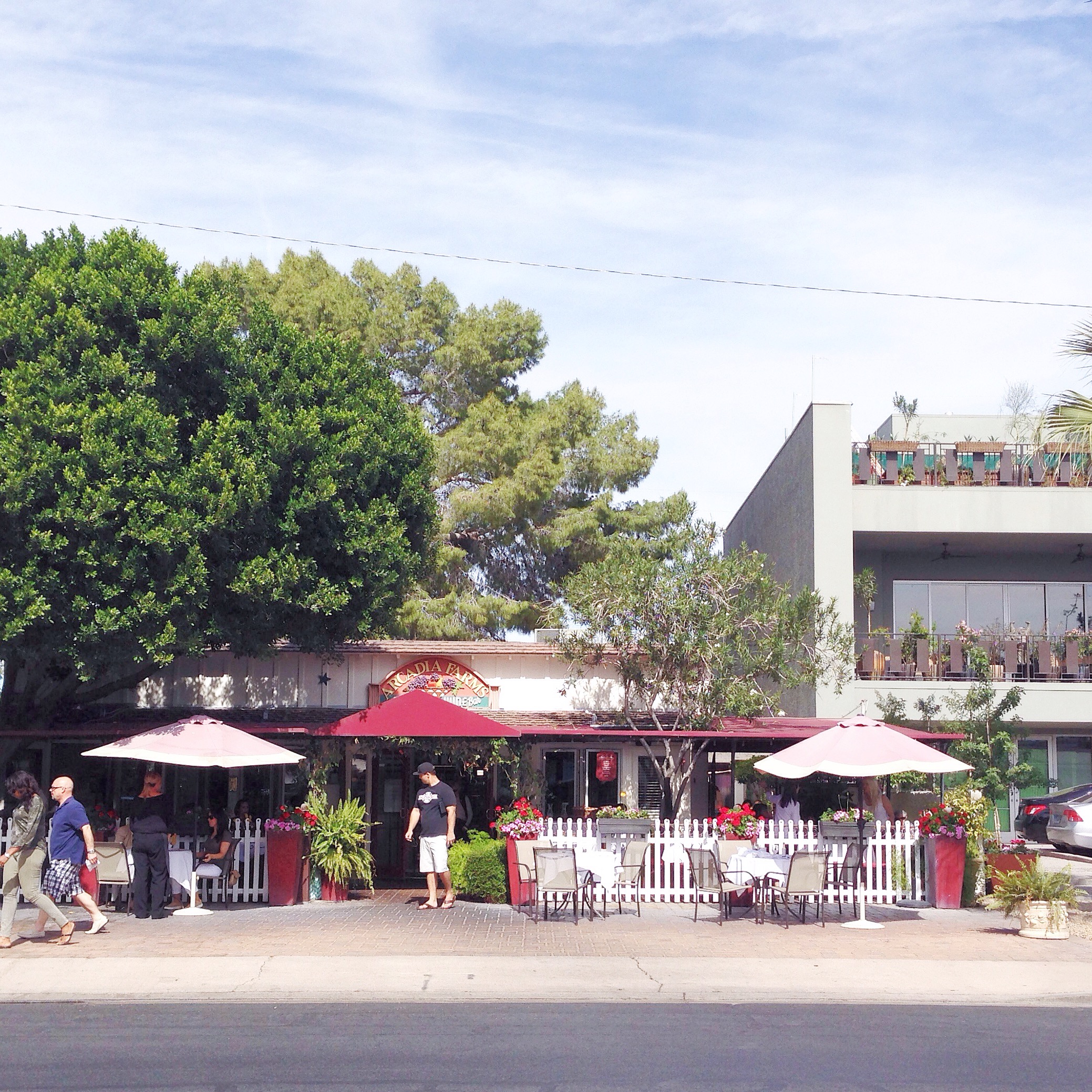 Arcadia Farms Luv in the Bubble