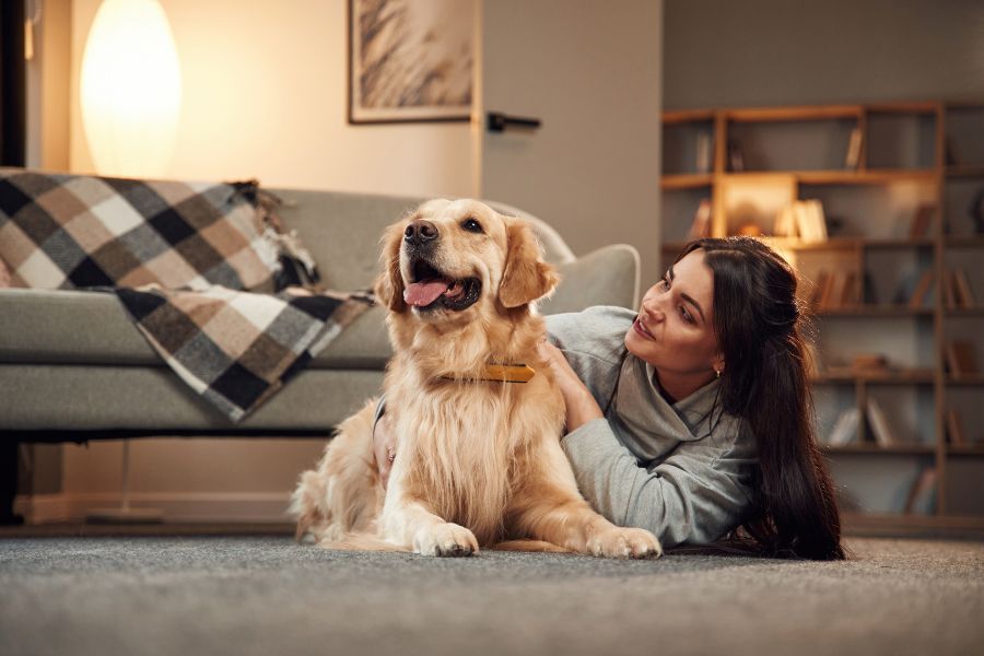 Creating a Routine for your Dog Luv My Sitter