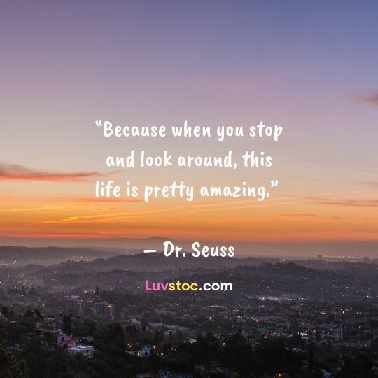 quotes for sunset pictures Sunset Quotes | Latest Sunset Quotes | New Sunset Status | Luvstoc