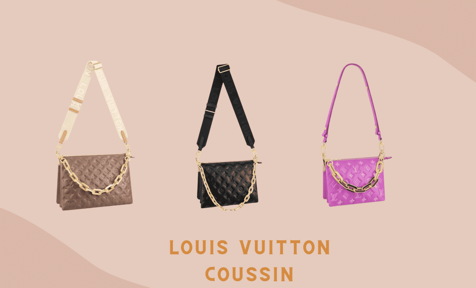 The Best Louis Vuitton Bags To Invest in 2022 Luxe Front